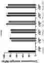 Fig. 11 - A BONE CEMENT COMPOSITION