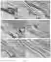 Fig. 03 - TISSUE ENGINEERING BONE SCAFFOLD AND PREPARATION METHOD THEREOF