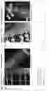 Fig. 03 - COMPOSITION FOR IMPROVED BONE FRACTURE HEALING