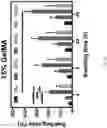 Fig. 09 - ENGINEERING A NATURALLY-DERIVED ADHESIVE AND CONDUCTIVE CARDIO-PATCH
