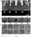 Fig. 07 - SYSTEMS AND METHODS FOR MAKING BIOMATERIALS WITH TARGET PROPERTIES