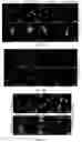 Fig. 09 - SYSTEMS AND METHODS FOR MAKING BIOMATERIALS WITH TARGET PROPERTIES