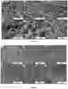Fig. 15 - SYSTEMS AND METHODS FOR MAKING BIOMATERIALS WITH TARGET PROPERTIES