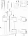 Fig. 02 - SYSTEMS, APPARATUSES, AND METHODS FOR NEGATIVE-PRESSURE TREATMENT WITH REDUCED TISSUE IN-GROWTH