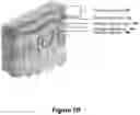 Fig. 09 - ENHANCED SYSTEM AND METHOD FOR USING A PRESSURIZED HYALURONIC ACID INJECTION DEVICE FOR AESTHETIC ENHANCEMENT OF SKIN APPEARANCE