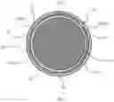 Fig. 10 - GUIDE WIRE WITH CONDUCTIVE ELEMENT
