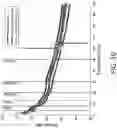Fig. 15 - SYSTEMS AND METHODS FOR EVALUATING NEUROMODULATION BASED ON EVOKED POTENTIALS