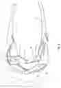 Fig. 06 - GLASSES PROVIDED WITH A PHOTON SOURCE, SYSTEM COMPRISING SUCH GLASSES AND USE OF SUCH GLASSES IN PHOTOTHERAPY