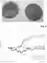 Fig. 06 - Composite material and fire protection element for sealing passage openings and joints in components
