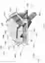 Fig. 78 - GOLF CLUB HAVING AN ADJUSTABLE WEIGHT ASSEMBLY
