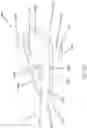 Fig. 75 - GOLF CLUB HAVING AN ADJUSTABLE WEIGHT ASSEMBLY