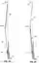 Fig. 29 - GOLF BAG WITH FOLD OUT CRUSH ZONE