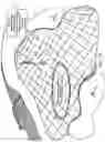 Fig. 13 - SYSTEM FOR ANALYZING GOLF CLUB SELECTION, SWING CHARACTERISTICS, AND GOLF COURSE PLAYABILITY