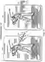 Fig. 17 - SYSTEM FOR ANALYZING GOLF CLUB SELECTION, SWING CHARACTERISTICS, AND GOLF COURSE PLAYABILITY