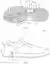Fig. 02 - SHOE WITH INTEGRATED LATERAL ROLLER