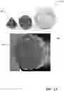 Fig. 20 - CARD CLIPS