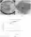 Fig. 03 - Hybrid extraction process for cannabinoids and related methods