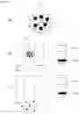 Fig. 04 - METHOD FOR EXTRACTING MICROVESICLES FROM BIOLOGICAL SAMPLE