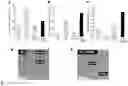 Fig. 07 - METHOD FOR EXTRACTING MICROVESICLES FROM BIOLOGICAL SAMPLE