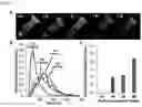 Fig. 12 - METHOD FOR EXTRACTING MICROVESICLES FROM BIOLOGICAL SAMPLE