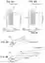 Fig. 06 - Hollow cylindrical filter and manufacturing apparatus