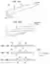 Fig. 09 - Hollow cylindrical filter and manufacturing apparatus