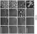 Fig. 08 - COLLOIDOSOMES AND POROUS MATERIALS BY PICKERING EMULSIONS