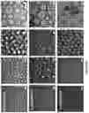 Fig. 12 - COLLOIDOSOMES AND POROUS MATERIALS BY PICKERING EMULSIONS