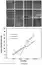 Fig. 14 - COLLOIDOSOMES AND POROUS MATERIALS BY PICKERING EMULSIONS