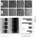 Fig. 18 - COLLOIDOSOMES AND POROUS MATERIALS BY PICKERING EMULSIONS