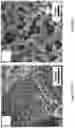 Fig. 26 - COLLOIDOSOMES AND POROUS MATERIALS BY PICKERING EMULSIONS
