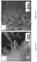 Fig. 27 - COLLOIDOSOMES AND POROUS MATERIALS BY PICKERING EMULSIONS