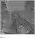 Fig. 05 - Monolithic composite photocatalysts