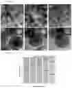 Fig. 67 - Pore-encapsulated catalysts for selective hydrogenolysis of plastic waste
