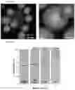 Fig. 71 - Pore-encapsulated catalysts for selective hydrogenolysis of plastic waste