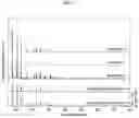 Fig. 03 - High-performance zeolite for reducing nitrogen oxide emissions, method of preparing same and catalyst using same