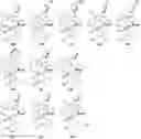 Fig. 01 - Ruthenium complex compound, ligand for producing same, and use thereof