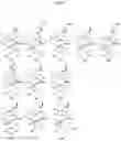 Fig. 02 - Ruthenium complex compound, ligand for producing same, and use thereof