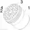 Fig. 01 - REACTION TUBE FOR MULTIPLE NUCLEIC ACID AMPLIFICATION