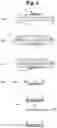 Fig. 04 - METHOD FOR MANUFACTURING 3D MICROFLUIDIC DEVICES
