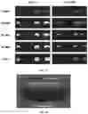 Fig. 20 - Concentration enrichment, separation and cation exchange in water-in-oil droplets