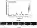 Fig. 29 - Concentration enrichment, separation and cation exchange in water-in-oil droplets