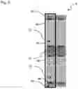 Fig. 06 - Cartridge and electrowetting sample processing system with delivery zone