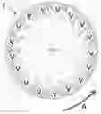 Fig. 01 - VORTEX FINDER FOR A CYCLONIC SEPARATOR