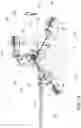 Fig. 11 - Rolling mill for solid elongated products
