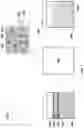 Fig. 06 - Dry metal alloying compositions and related methods