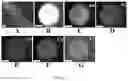 Fig. 02 - Laser scanning ablation synthesis of medium-entropy and high-entropy particles with size from nanometer to micrometer
