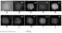 Fig. 03 - Laser scanning ablation synthesis of medium-entropy and high-entropy particles with size from nanometer to micrometer