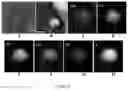 Fig. 10 - Laser scanning ablation synthesis of medium-entropy and high-entropy particles with size from nanometer to micrometer