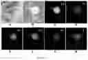 Fig. 11 - Laser scanning ablation synthesis of medium-entropy and high-entropy particles with size from nanometer to micrometer
